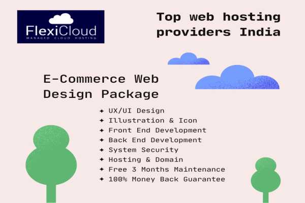 Best business hosting provider India- Flexicloud